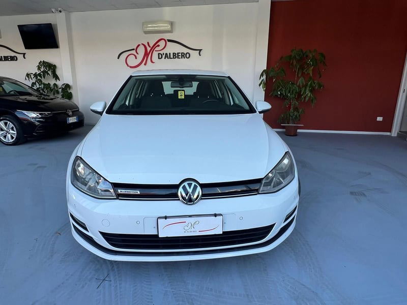 Volkswagen Golf 1.6 TDI 110 CV 5p. Executive BlueMotion Technology