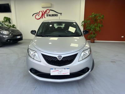 Lancia Ypsilon 1.2 69 CV 5 porte Platinum usata