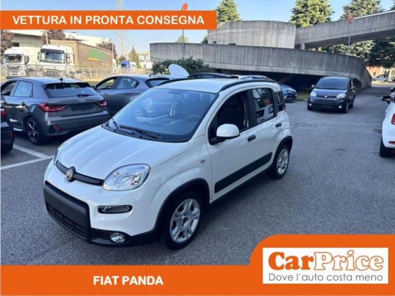 Fiat Panda 1.0 firefly hybrid s&s 70cv 5p.ti