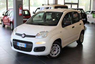 Fiat Panda 1.2 Pop usata