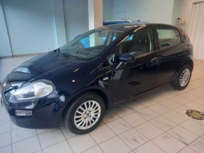 Fiat Punto 1.2 8V 5 porte Street usata