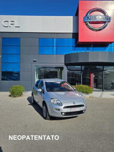 Fiat Punto 1.4 8V 5 porte Natural Power Street usata