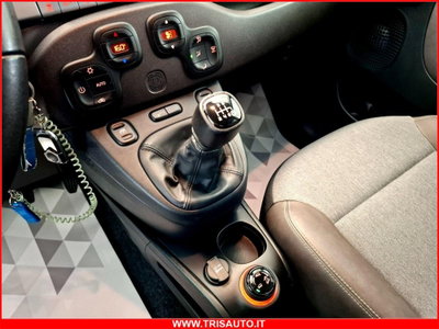 Fiat Panda Cross Cross 0.9 TwinAir Turbo S&S 4x4 (17)