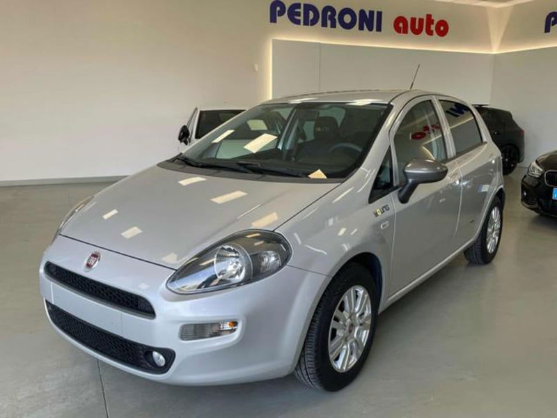 Fiat Punto 1.2 8V 5 porte Young