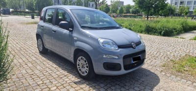 Fiat Panda 1.2 Easy usata