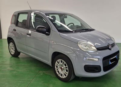 Fiat Panda 1.2 Easy usata