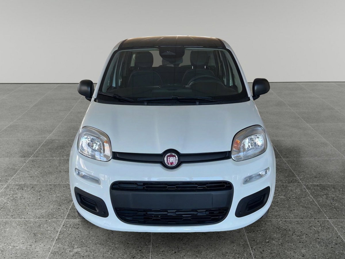 Fiat Panda Cross Cross 1.0 FireFly S&S Hybrid (2)
