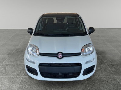 Fiat Panda Cross Cross 1.0 FireFly S&S Hybrid (2)