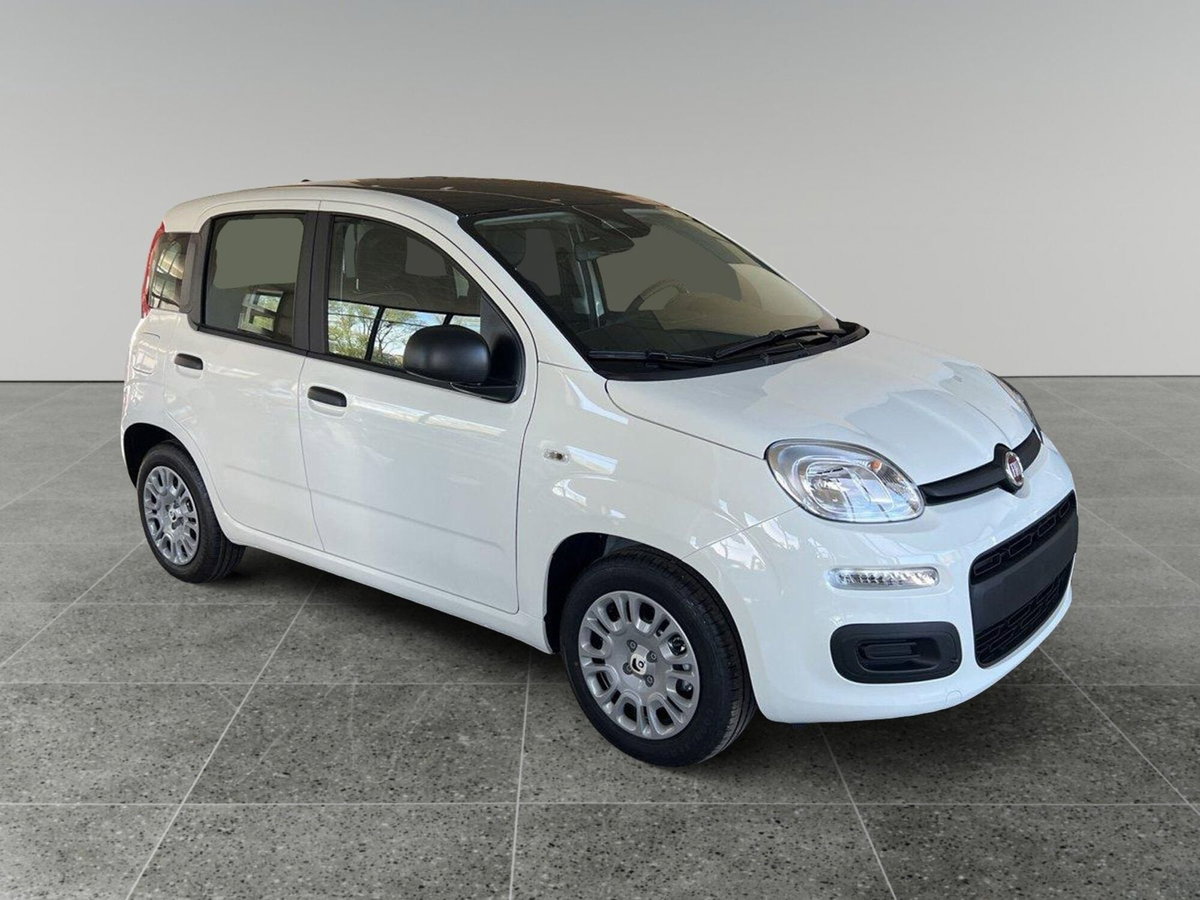 Fiat Panda Cross Cross 1.0 FireFly S&S Hybrid (3)