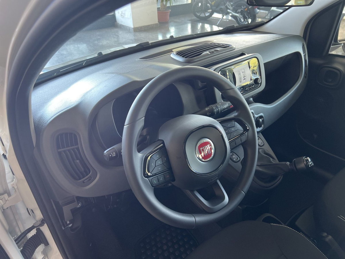 Fiat Panda Cross Cross 1.0 FireFly S&S Hybrid (4)
