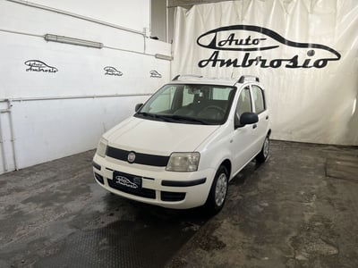 Fiat Panda 1.3 MJT 16V DPF Emotion usata