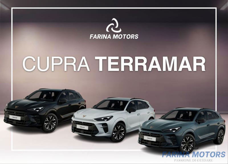 Cupra Terramar 1.5 hybrid 150cv dsg