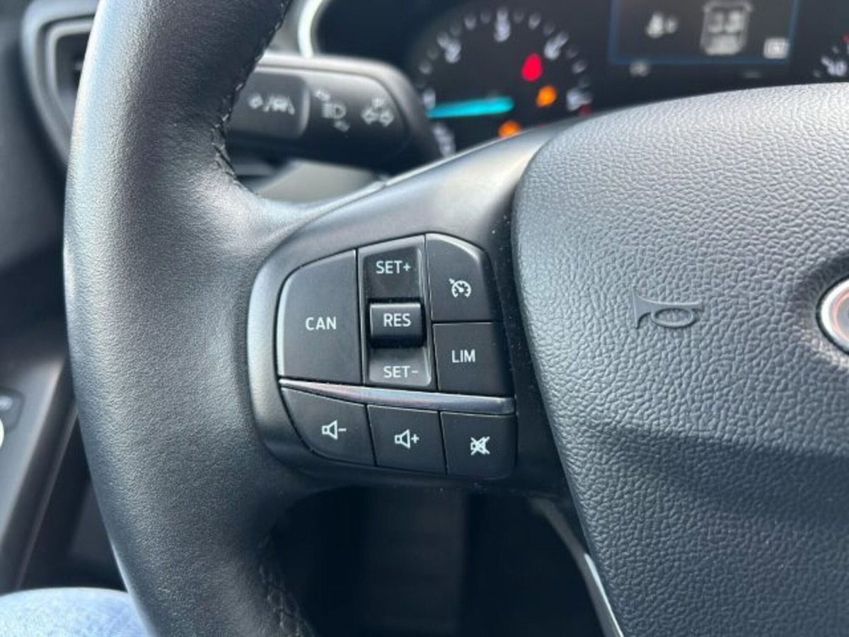 Ford Focus 1.5 EcoBlue 120 CV 5p. Business (11)