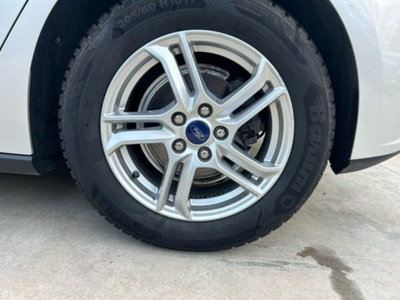 Ford Focus 1.5 EcoBlue 120 CV 5p. Business (18)