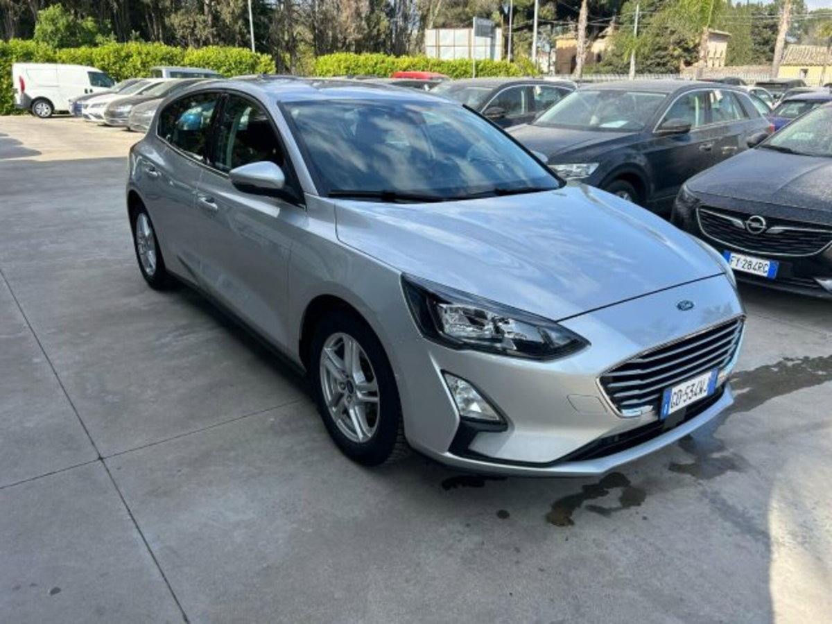 Ford Focus 1.5 EcoBlue 120 CV 5p. Business (3)