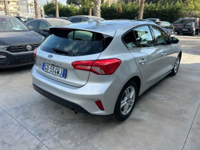 Ford Focus 1.5 EcoBlue 120 CV 5p. Business (4)
