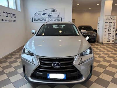 Lexus NX Hybrid 4WD Executive usata