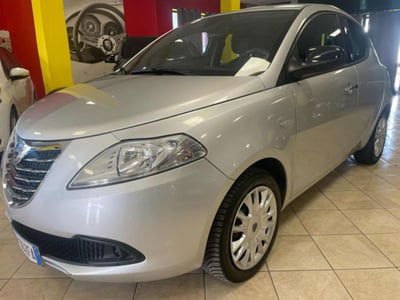 Lancia Ypsilon 1.2 69 CV 5 porte GPL Ecochic Elefantino