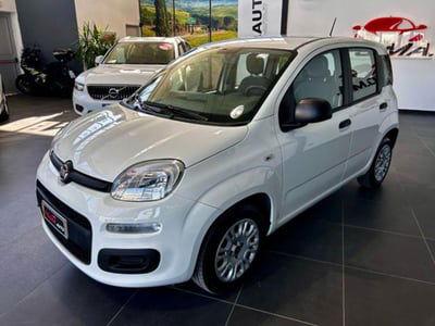 Fiat Panda 1.2 Easy usata