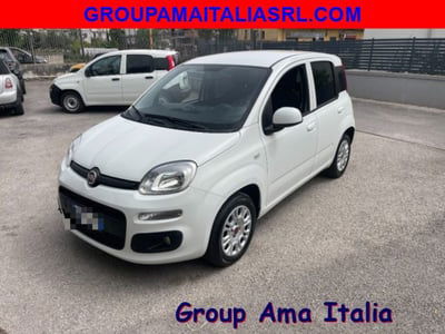 Fiat Panda 1.2 EasyPower Easy usata