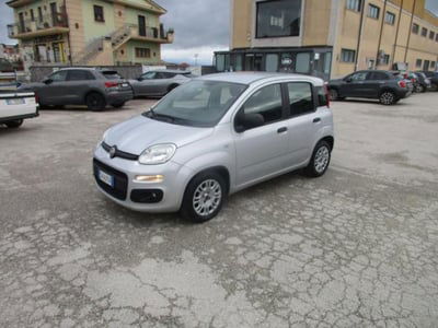 Fiat Panda 1.2 EasyPower Easy usata