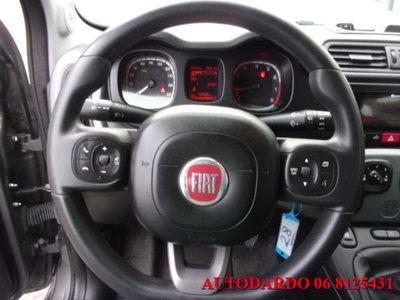 Fiat Panda 1.0 firefly hybrid s&s 70cv 5p.ti (13)