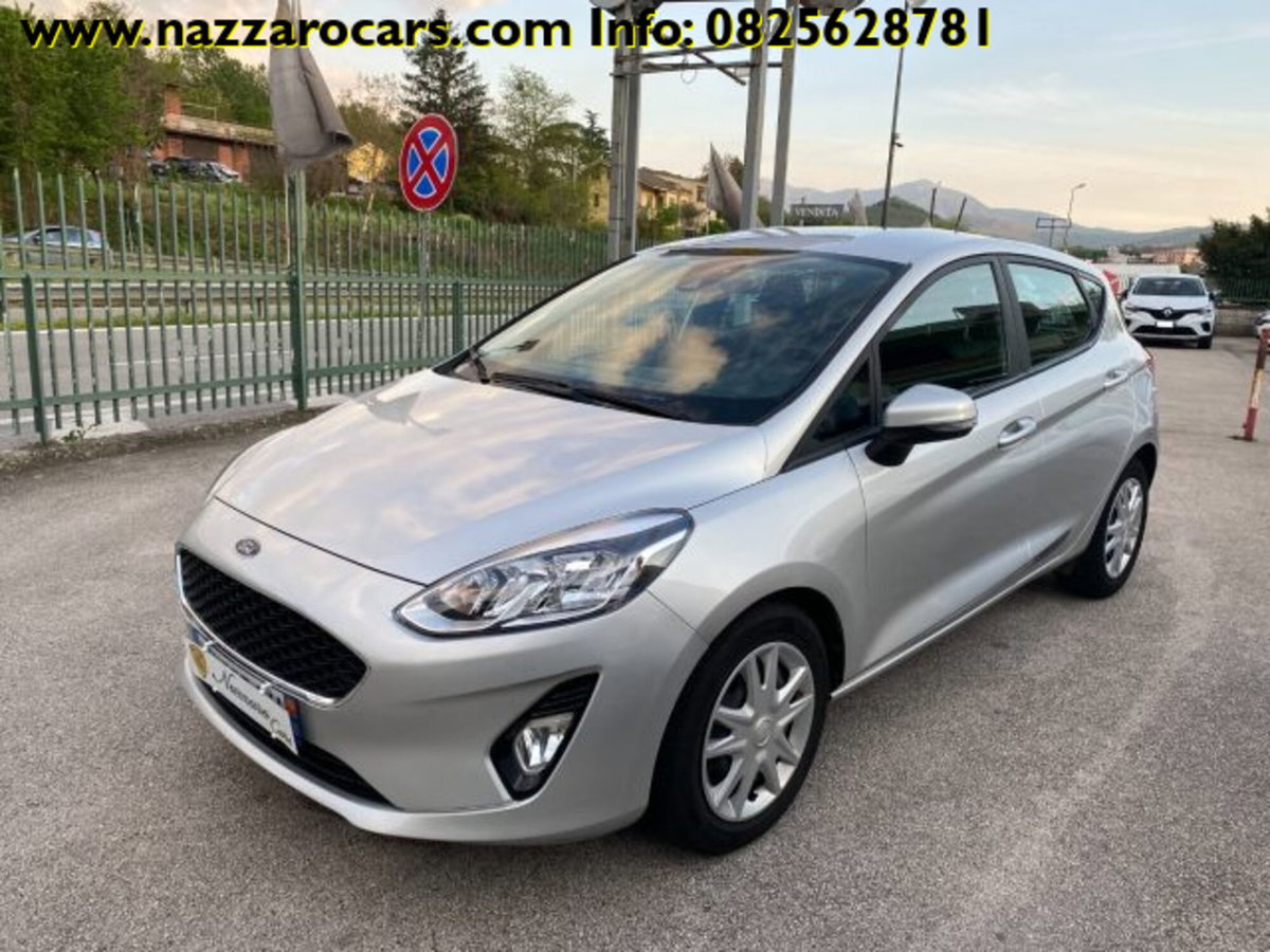 Ford Fiesta 1.0 Ecoboost 95 CV 5 porte Business (16)