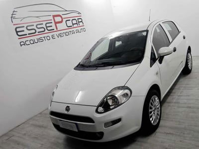Fiat Punto 1.2 8V 5 porte Street usata
