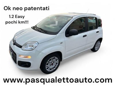 Fiat Panda 1.2 Easy usata