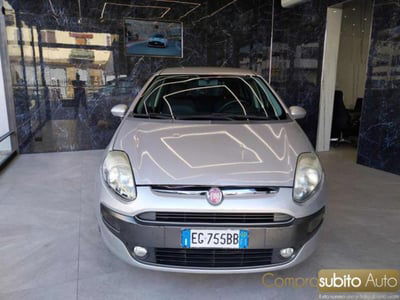 Fiat Punto Evo 1.2 5 porte S&S Active usata