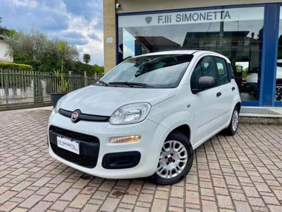 Fiat Panda 1.2 Easy usata
