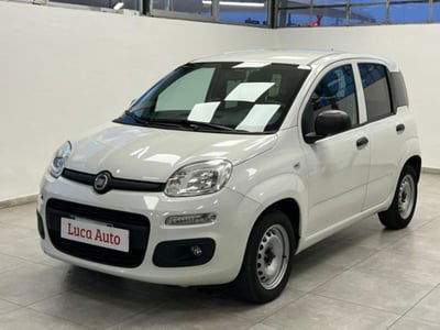 Fiat Panda 1.2 EasyPower Easy usata