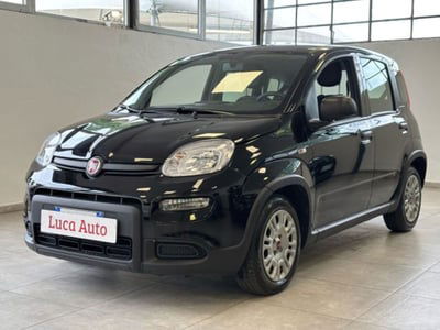 Fiat Panda 1.0 firefly hybrid s&s 70cv 5p.ti usata