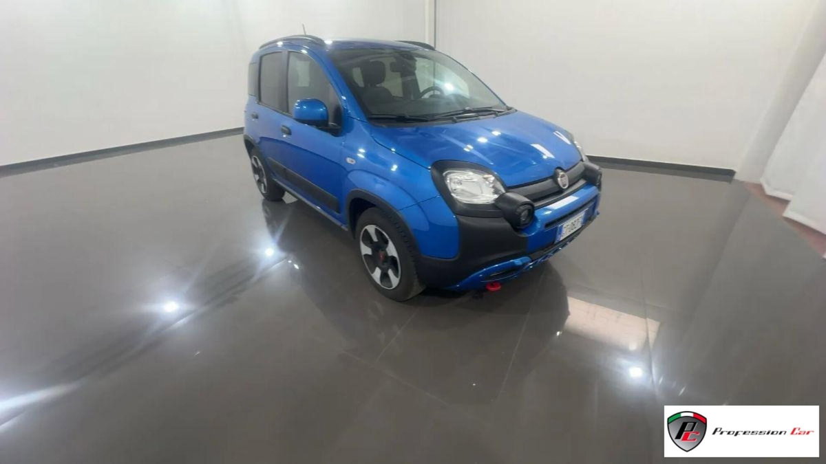 Fiat Panda Cross Cross 1.0 FireFly S&S Hybrid (3)
