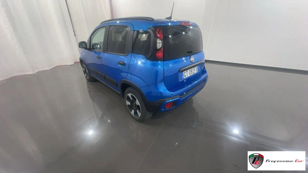 Fiat Panda Cross Cross 1.0 FireFly S&S Hybrid (6)