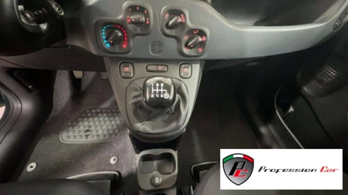 Fiat Panda Cross Cross 1.0 FireFly S&S Hybrid (8)