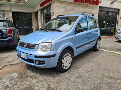 Fiat Panda 1.2 Dynamic Natural Power usata