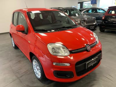 Fiat Panda 1.2 Easy usata