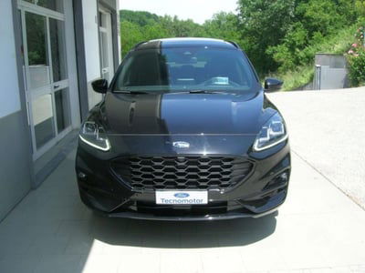 Ford Kuga 1.5 EcoBlue 120 CV aut. 2WD ST-Line X usata