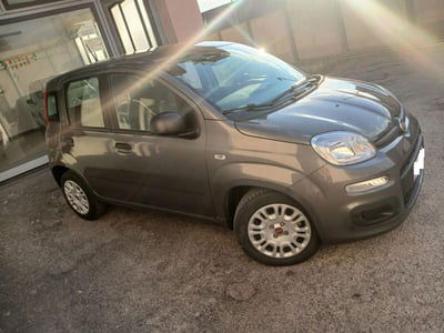 Fiat Panda 1.0 FireFly S&S Hybrid usata