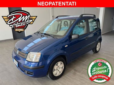 Fiat Panda 1.2 Dynamic usata