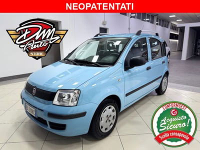 Fiat Panda 1.2 Dynamic usata