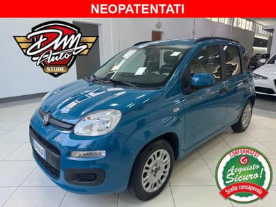 Fiat Panda 1.2 Easy usata