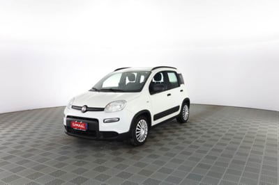 Fiat Panda 1.0 FireFly S&S Hybrid City Cross usata