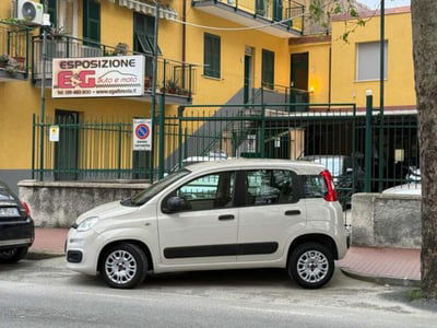 Fiat Panda 1.2 Easy Van 4 posti usata
