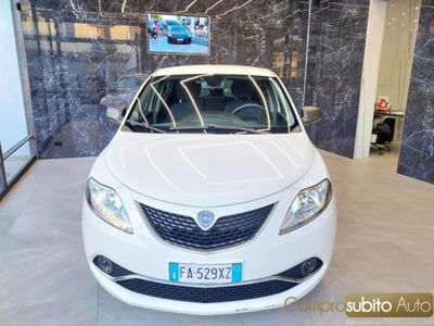 Lancia Ypsilon 1.2 69 CV 5 porte Platinum usata