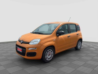 Fiat Panda 1.0 firefly hybrid s&s 70cv 5p.ti usata