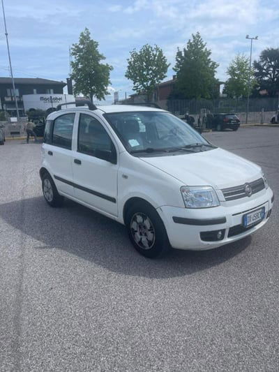 Fiat Panda 1.2 4x4 usata