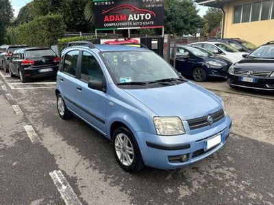 Fiat Panda 1.2 Alessi usata