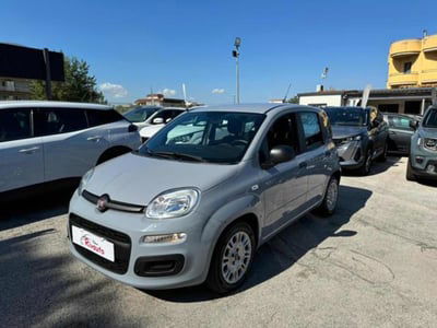 Fiat Panda 1.0 firefly hybrid s&s 70cv 5p.ti usata